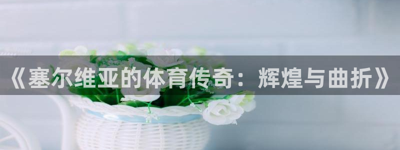 zoty中欧体育：《塞尔维亚的体育传奇：辉煌与曲折》