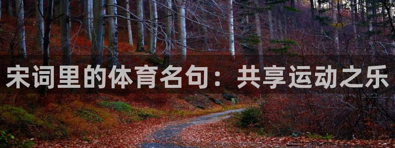 kok中欧体育：宋词里的体育名句：共享运动之乐