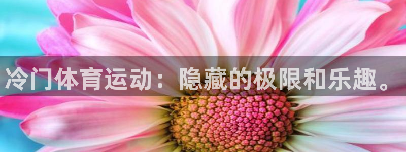 kok中欧体育：冷门体育运动：隐藏的极限和乐趣。