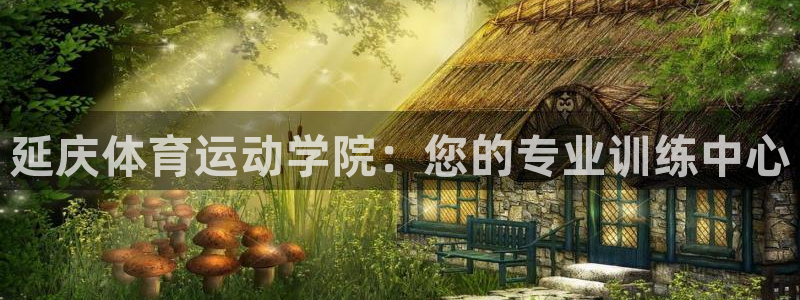 中欧体育李勇鸿：延庆体育运动学院：您的专业训练中心