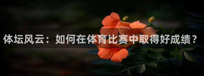 kok中欧体育登录：体坛风云：如何在体育比赛中取得好成绩？