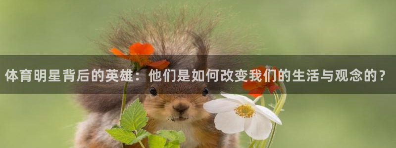 kok中欧体育登录：体育明星背后的英雄：他们是如何改变我们的生活与观念的？