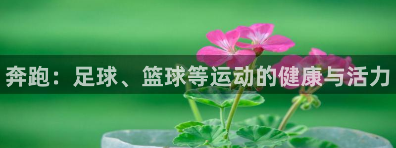 中欧体育ios：奔跑：足球、篮球等运动的健康与活力