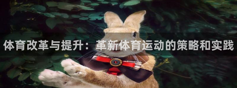 中欧体育官网入口：体育改革与提升：革新体育运动的策略和实践