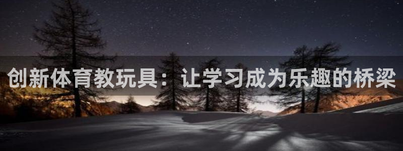 中欧体育kok官网首页：创新体育教玩具：让学习成为乐趣的桥梁