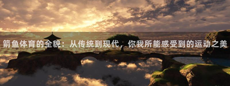 中欧体育最新地址：箭鱼体育的全貌：从传统到现代，你我所能感受到的运动之美