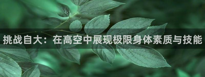 zoty中欧体育平台：挑战自大：在高空中展现极限身体素质与技能